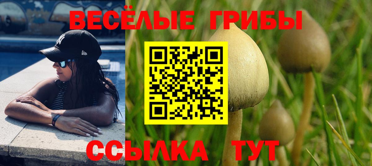 Галлюциногенные грибы прущие грибы  Галлюциногенные грибы Magic Shrooms  Вход с VPN  Братск 